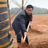 瞿海张值恒带头义务植树:不光要植一片树林,更要在群众心里植“绿”