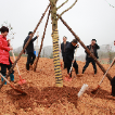 视频｜瞿海张值恒参与植树活动 号召益阳干群为城市添绿