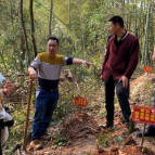青山依旧在 益阳“十三五”期间林业有害生物防控初见成效