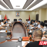 湖南省第一批政法队伍教育整顿“回头看”检查验收益阳汇报会召开