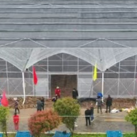 红观察｜南县：戴着口罩播种希望 