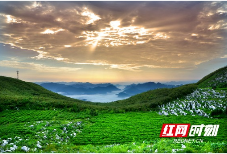 组图 | 带你一起打卡神韵安化，这是一个“让心放下”的地方