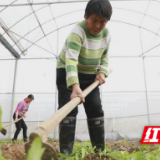 衡阳县：抢抓农时不负春 全面掀起春耕备耕热潮