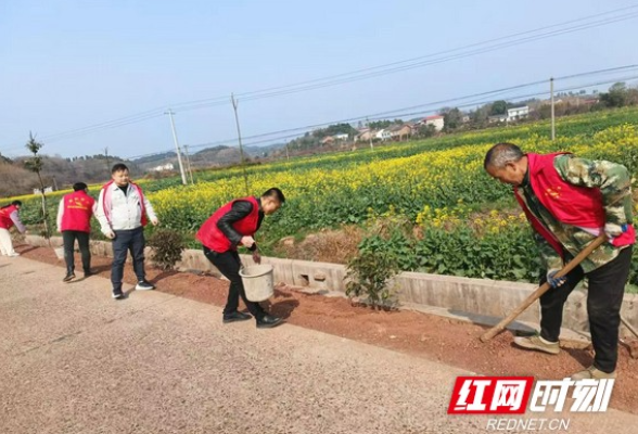 春风化绿 美化萱洲 “衡阳群众”在行动