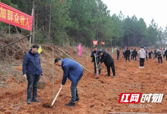 衡南县：共饮枇杷茶 同种“幸福树 ” 屋场恳谈谈出好“产业”