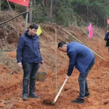 衡南县：共饮枇杷茶 同种“幸福树 ” 屋场恳谈谈出好“产业”