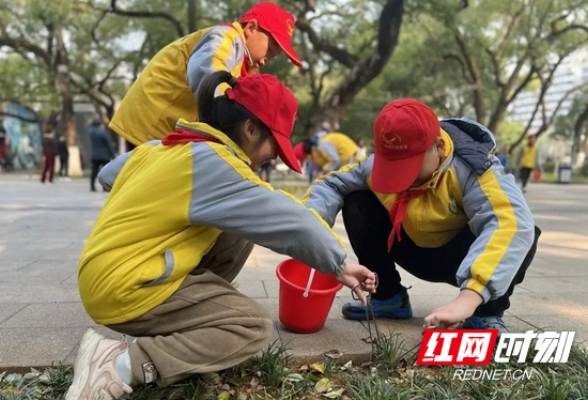 组图 | 雁峰区积极开展全民卫生活动