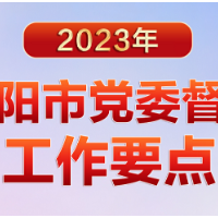长图丨走在前，谋在先！一图带你读懂2023年衡阳市党委督查工作要点