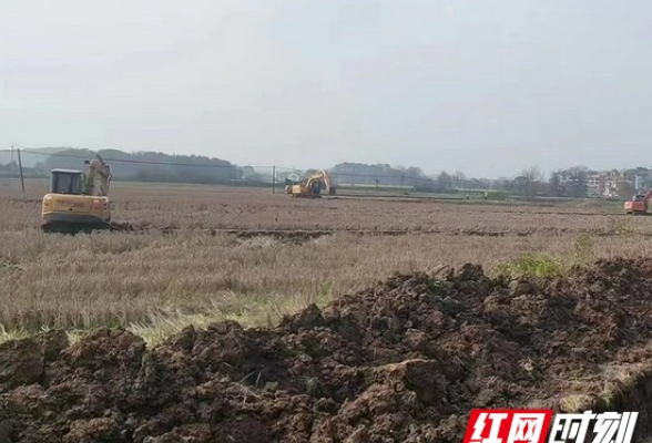 衡阳首创部门联动机制 落实高标准农田建设项目耕地“进出平衡”