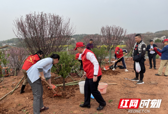 衡阳工会“志愿红”开遍雁城