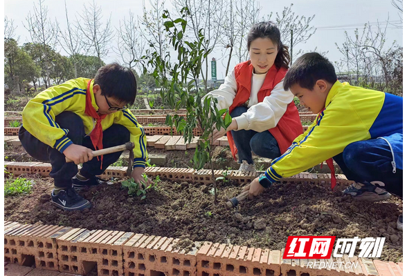 春耕学农事，田间长知识，石鼓区三星小学“小农夫”们奏响春耕音符