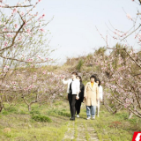 春日里的中国｜衡阳珠晖区：东阳回龙谷 游人寻花来