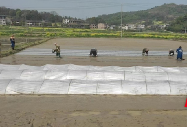 耒阳：驻村工作队深入田间地头 助力春耕生产