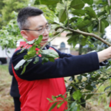 青山绿水｜衡阳珠晖区：民族团结护环境携手共植同心林