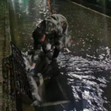 入春第一场暴雨，衡南各级部门积极开展应对防范工作