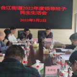 石鼓区合江街道召开2022年度领导班子民主生活会