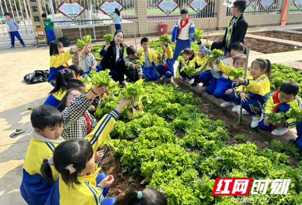 石鼓区金源小学开展爱心义卖活动