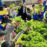 石鼓区金源小学开展爱心义卖活动