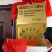 推动衡阳茶产业高质量发展 湖南茶界首家省级专家工作站在衡阳揭牌