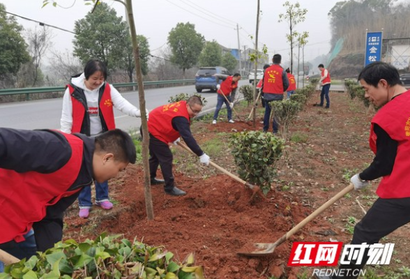 珠晖公路分中心干部职工开展义务植树活动