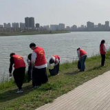 石鼓区五一街道团工委开展“河小青净滩行动”暨河湖垃圾清理专项整治行动