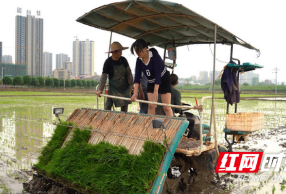 衡阳县：“田保姆”进村 农民种田更轻松