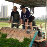 衡阳县：“田保姆”进村 农民种田更轻松