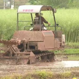 衡南：开展耕地“非农化”“非粮化”专项整治 扛稳扛牢耕地保护和粮食安全政治责任