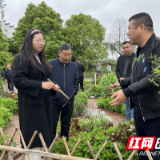 衡阳蒸湘区：“可食地景”培训解种植难题