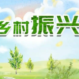 衡山县朝圣村：党群同心共绘美卷