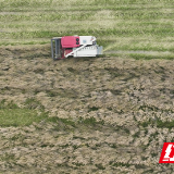 衡阳县：70万亩油菜迎丰收 机收减损每亩能赚1400元