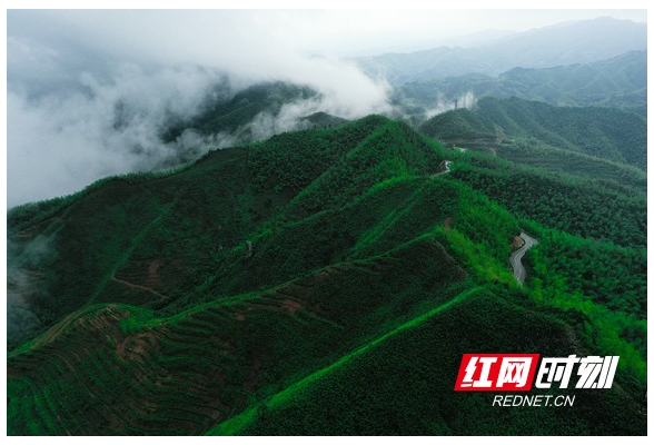 组图｜常宁塔山：雨后山乡似仙境、如画卷