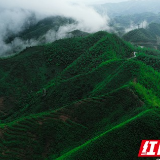 组图｜常宁塔山：雨后山乡似仙境、如画卷