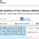南华大学药物设计与研发团队实现百部家族生物碱发散式集群全合成
