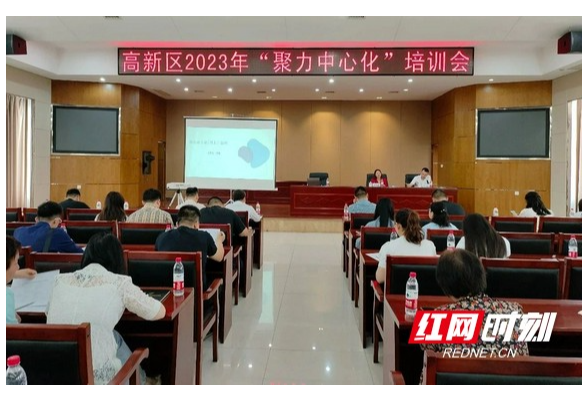 衡阳高新区举行2023年全区统计工作综合业务培训会