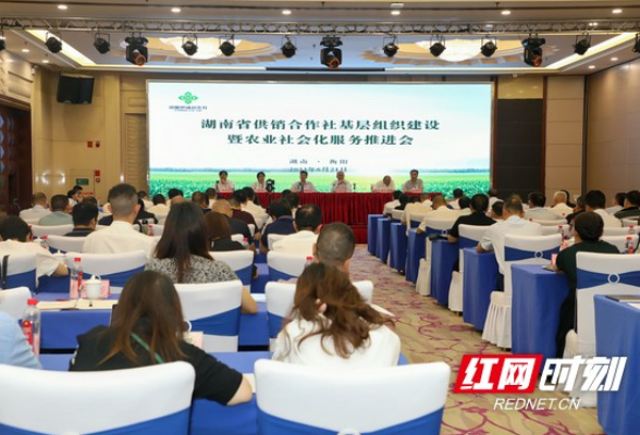 湖南省供销合作社基层组织建设暨农业社会化服务推进会在衡召开