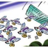 石鼓区：监督全覆盖 整治乡村振兴领域“蝇贪蚁腐”