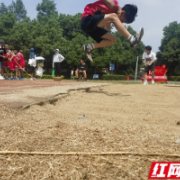 石鼓区中小学夏季田径运动会完美落幕