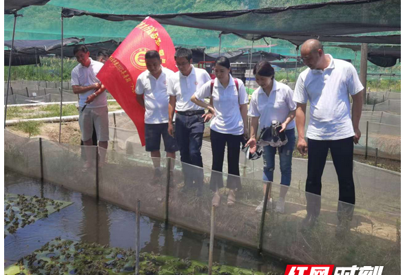 衡阳师范学院教授博士服务团“定点服务”出实效