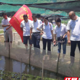 衡阳师范学院教授博士服务团“定点服务”出实效