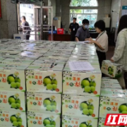 南华附一医院：“走找想促”办实事，“医”心助推乡村振兴