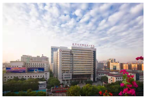 南华大学附属第一医院成功运用阴道内镜切除一例多发性粘膜下子宫肌瘤