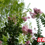 亲自然｜湖南衡阳：水光潋滟晴方好