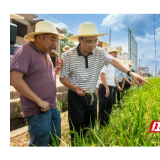 省农业农村厅赴衡东调研督导粮食生产万亩综合示范片工作