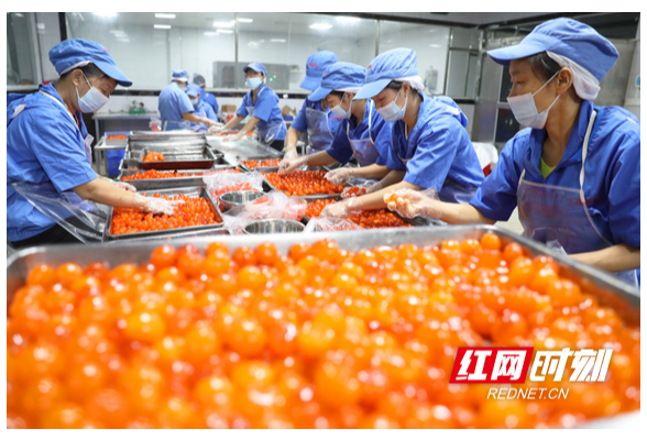 衡东李花村：建好生态绿色食品产业链 助力建设县域经济强县