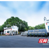 工业质量总量均量“三量齐升” 珠晖区再添2家创新型中小企业