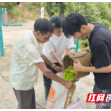 湖南高铁职院“三下乡”社会实践队走进黄花菜第一镇