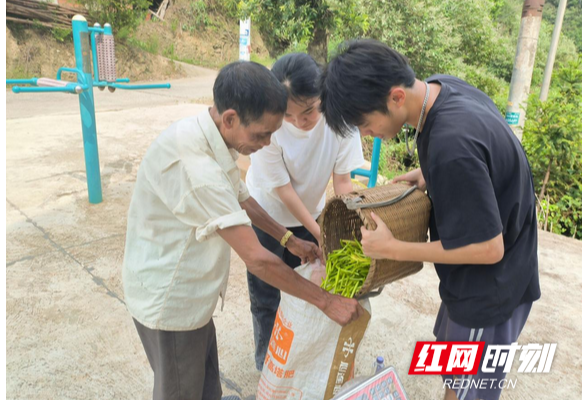 湖南高铁职院“三下乡”社会实践队走进黄花菜第一镇