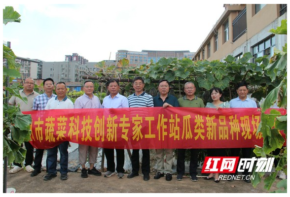 衡阳人的“菜篮子”越来越丰富，他们功不可没！