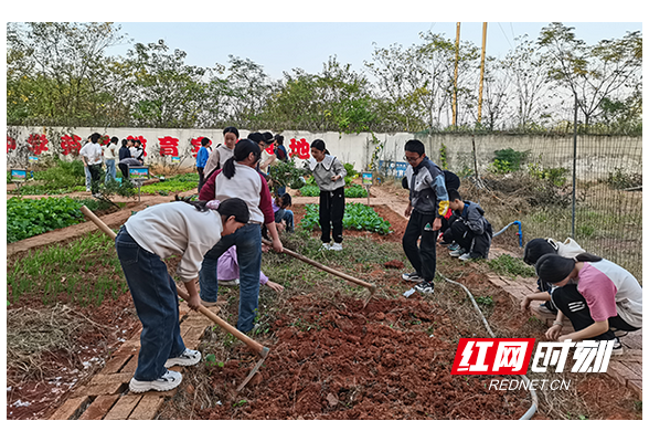 衡阳县弘扬中学：劳动实践倍儿忙，健体励智促成长